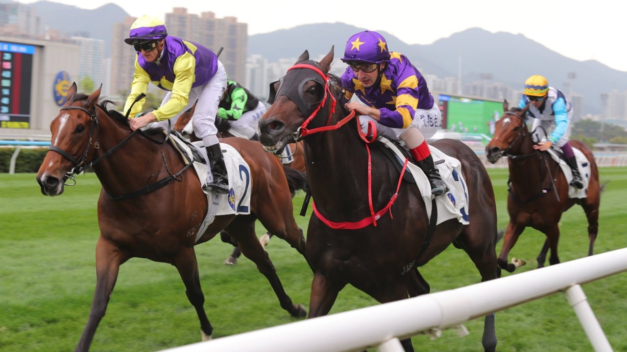 Colourful King (left) finishes second to Stellar Express.