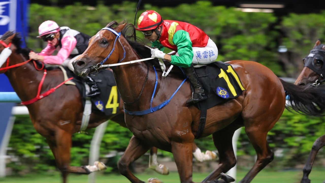 Jumbo Blessing, ridden by Joao Moreira, scores at Happy Valley.