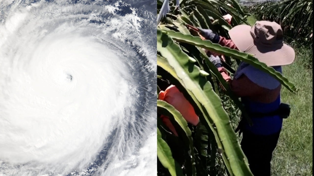 Taiwan braces for arrival of Super Typhoon Bavi