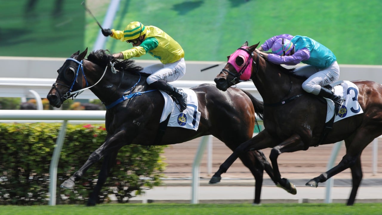 Sky Deep, ridden by Antoine Hamelin, wins at Sha Tin. 