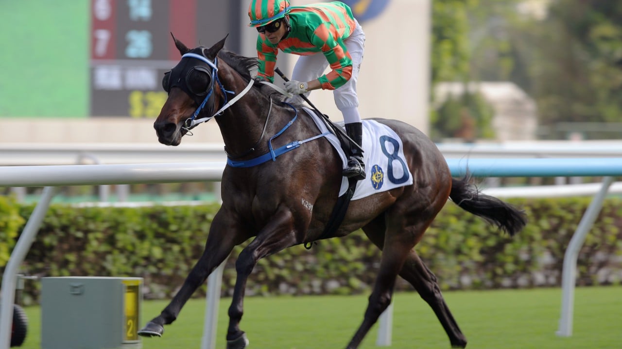 Pejibaye, ridden by Ellis Wong Chi-wang, triumphs at Sha Tin. 