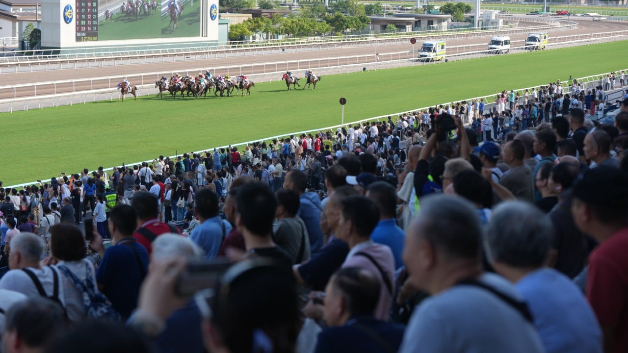 Racing fans watch on at the final Sha Tin meeting of the season. Photo: Sam Tsang