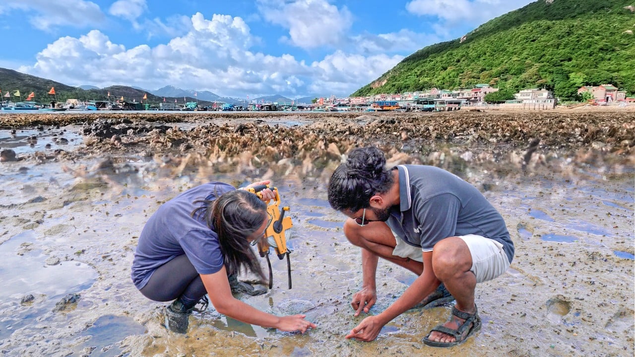 Rescuing Hong Kong’s biodiversity