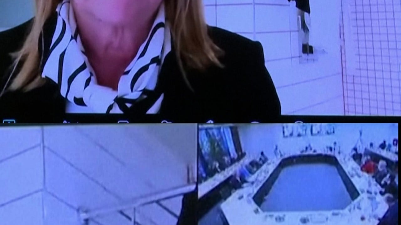 New Zealand politician joins meeting from bathroom
