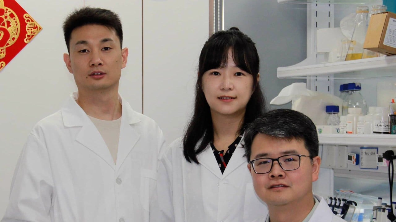 Chinese scientists develop ‘smart’ diabetes probiotic