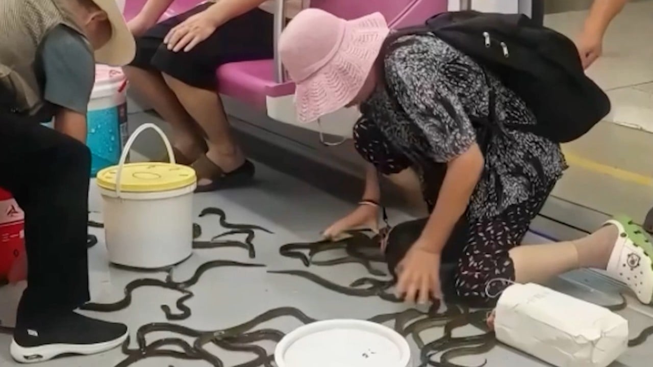 Live eels spill out on train floor in China