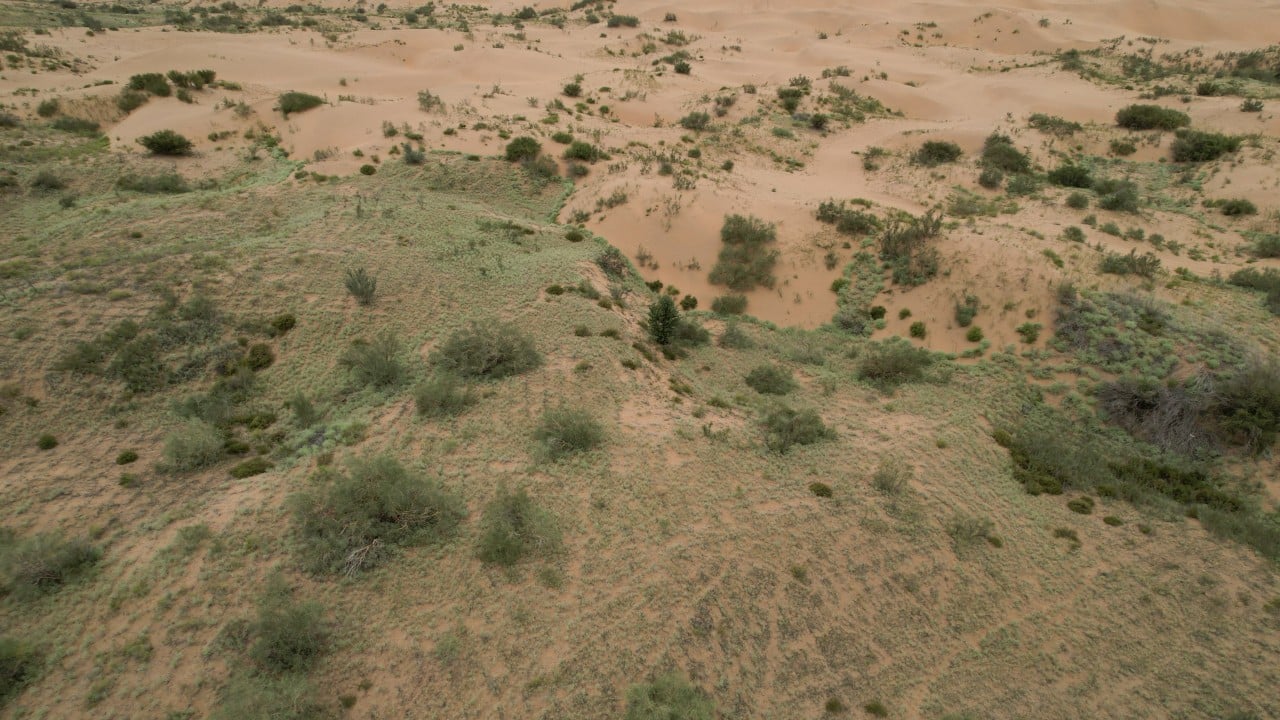 China’s Great Green Wall halts desert spread