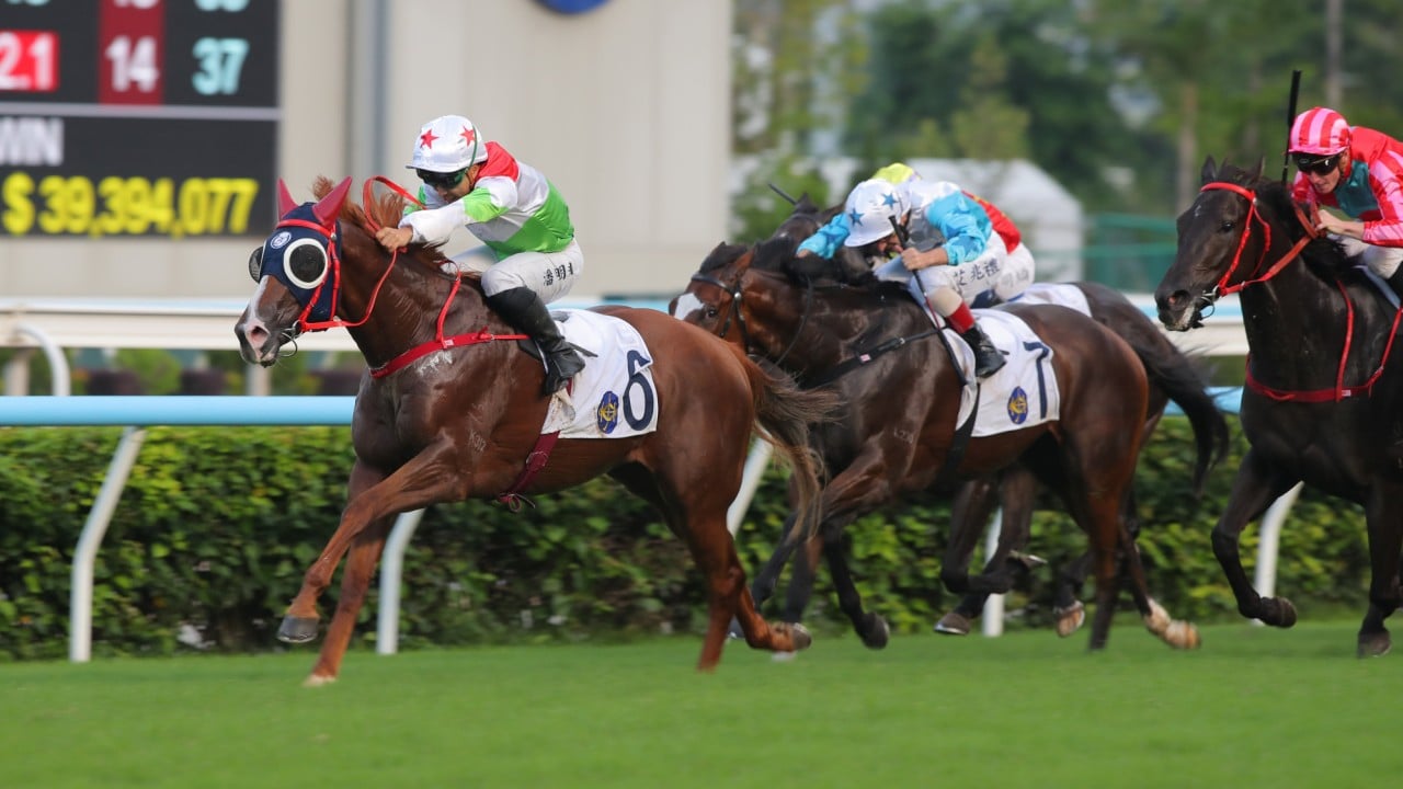 The Red Hare wins at Sha Tin in May. 