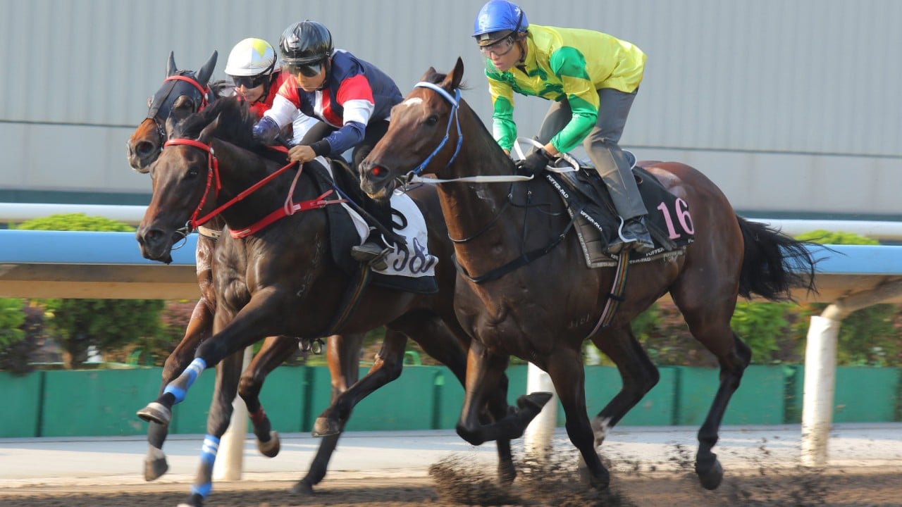 Salon S (black cap) trials at Sha Tin two weeks ago.