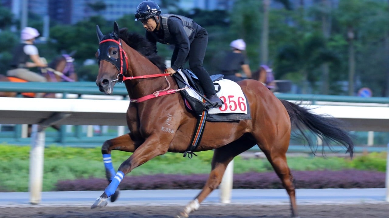 Lucky With You gallops at Sha Tin earlier this month.