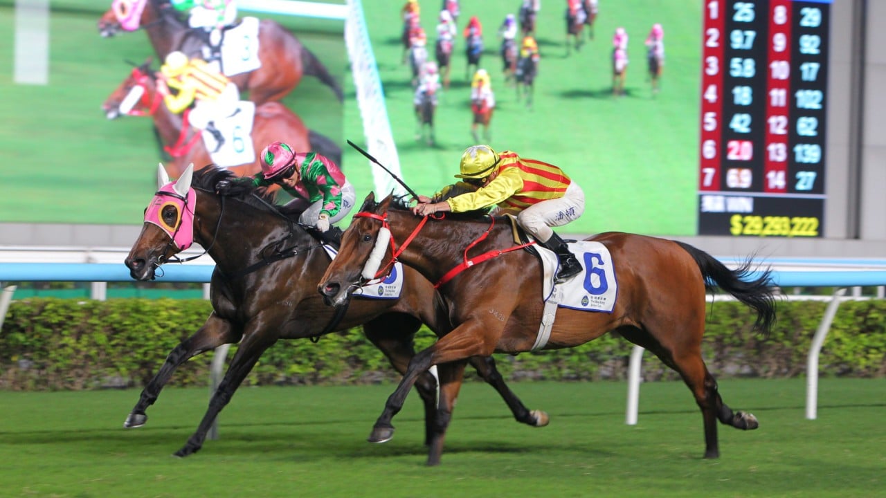 Aeroinvincible (inside) scrambles home at Sha Tin.