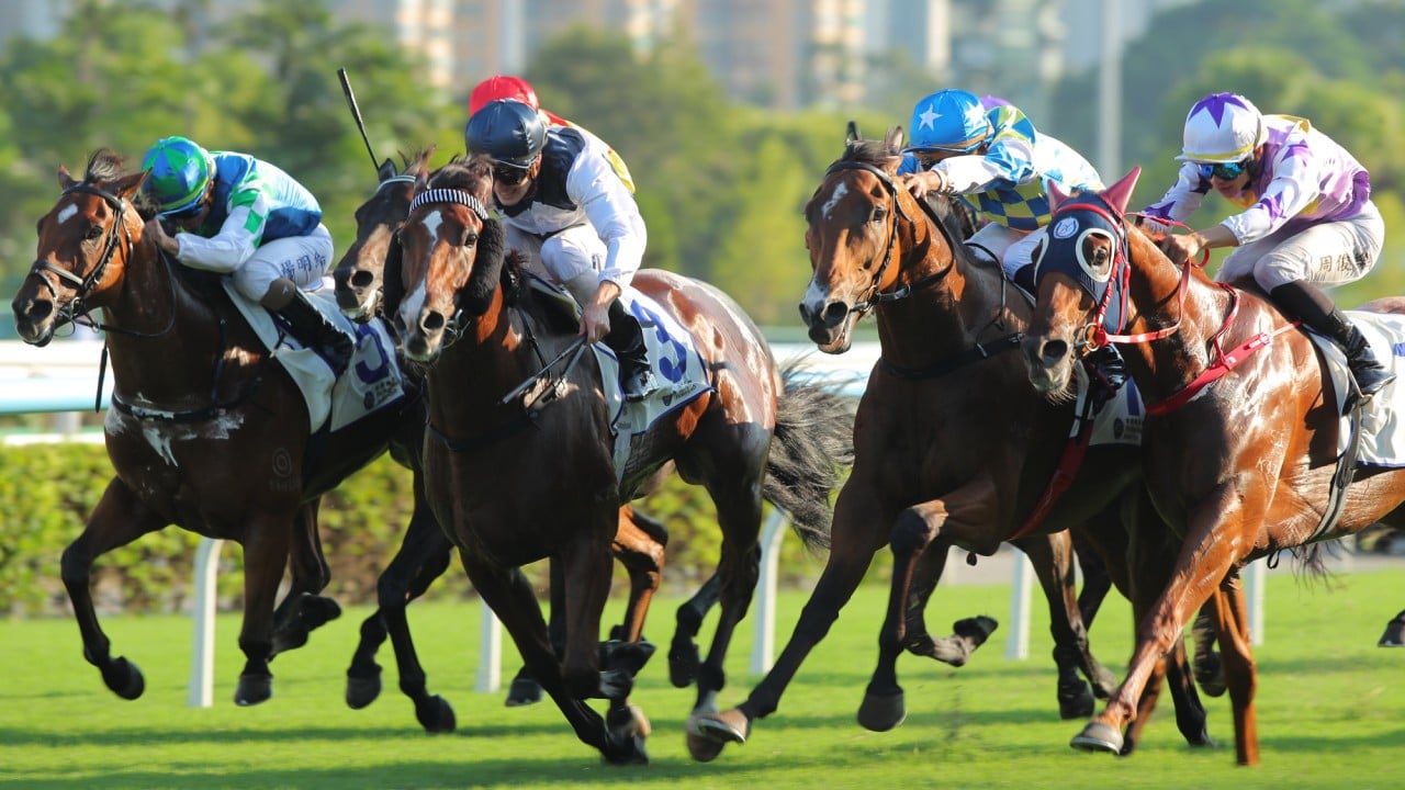 Invincible Ibis (black cap) wins Sunday’s Group Three Celebration Cup at Sha Tin. Photo: Kenneth Chan