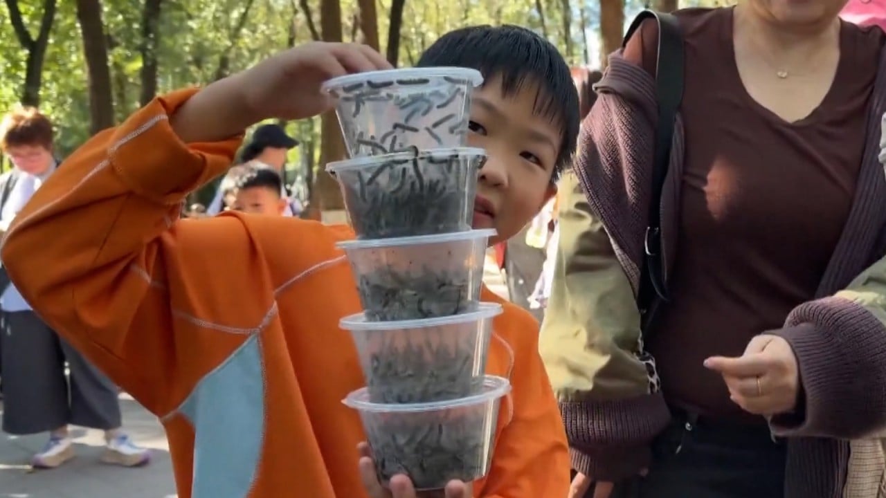 Beijing bounty hunters chase invasive caterpillars