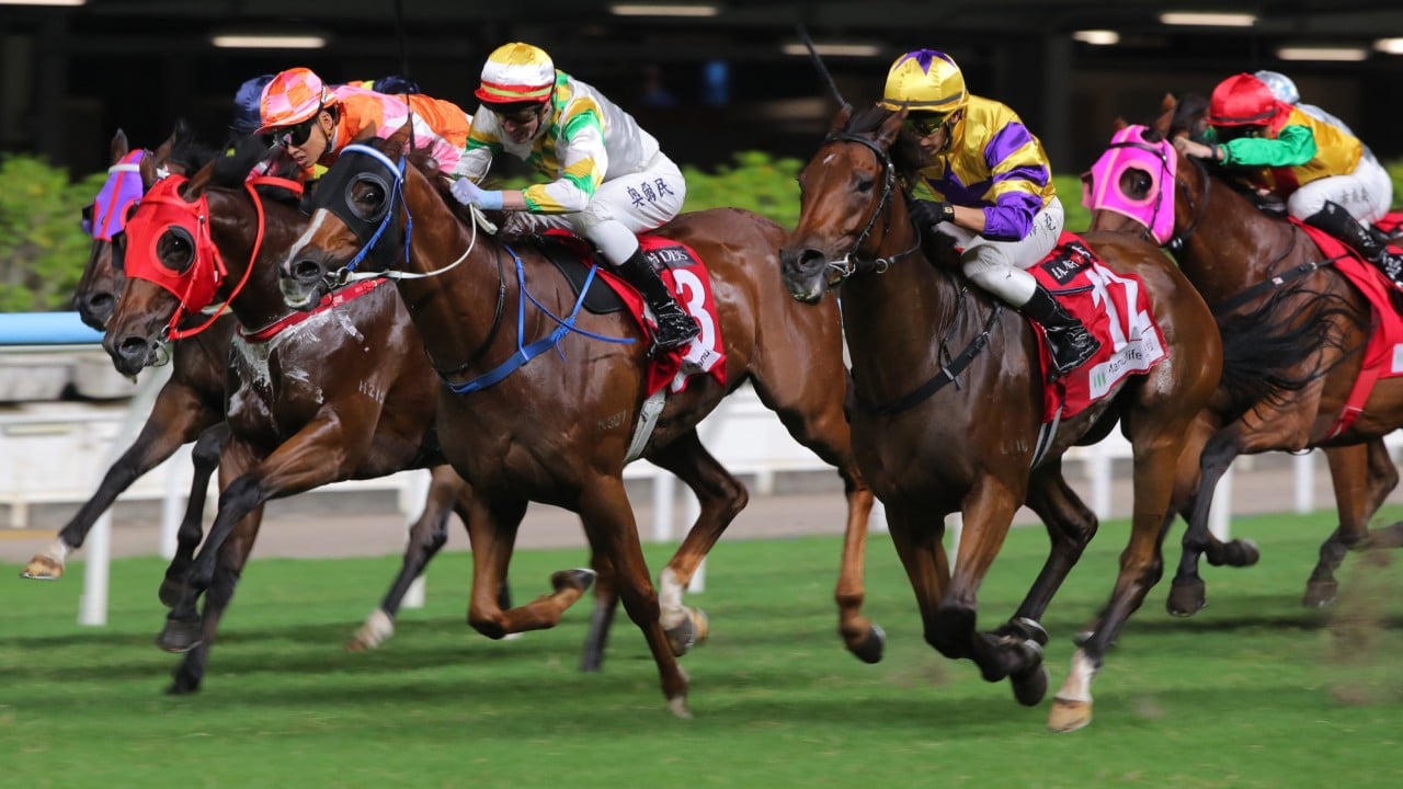 Le Zonda (outside) completes a hat-trick at the Valley.