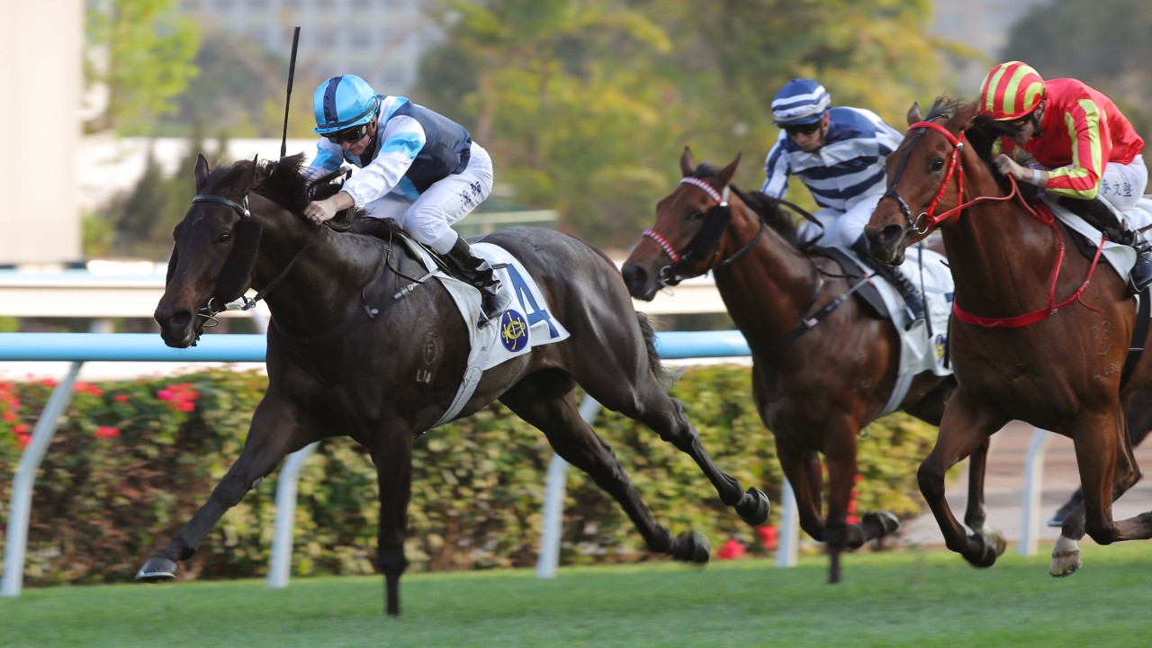 Cool Boy wins at Sha Tin in February. Photos: Kenneth Chan