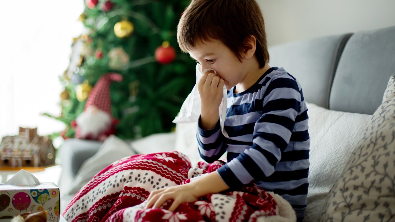 Christmas Tree Mould And Asthma How To Avoid Your Decorations Triggering Allergies Breathing Problems South China Morning Post Best Christmas Trees For Allergies