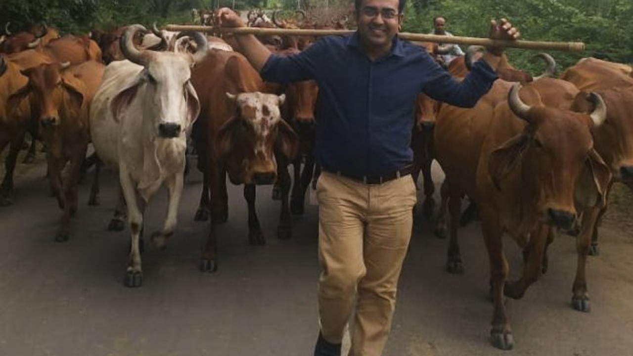 0uy1c1gwmcatfm Cow urine offers all the benefits listed above and more. https www scmp com lifestyle arts culture article 3044026 sales cow dung art soap shampoo toothpaste and more india