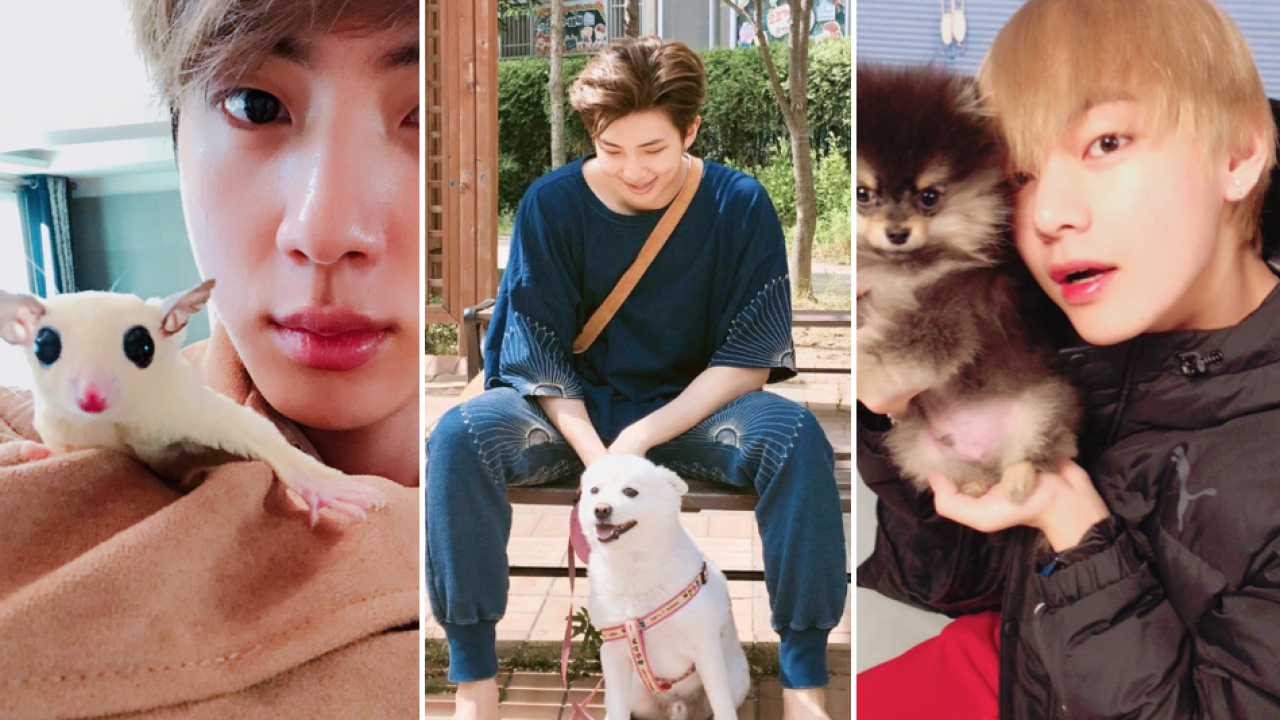 Bts Members Love Their Pets And Post Cute Dog Photos To Instagram Just Like Us From V S Yeontan And Jungkook S Gureum To Jimin S Ddosun These Are All The K Pop Boy Group S