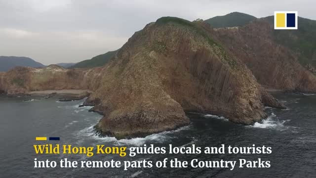Explore Hong Kong's Wild Side