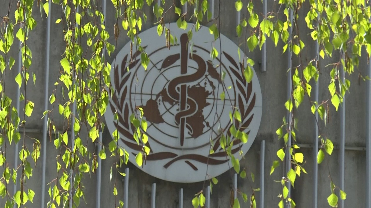 WHO members including China back investigation of UN body’s response to the Covid-19 pandemic