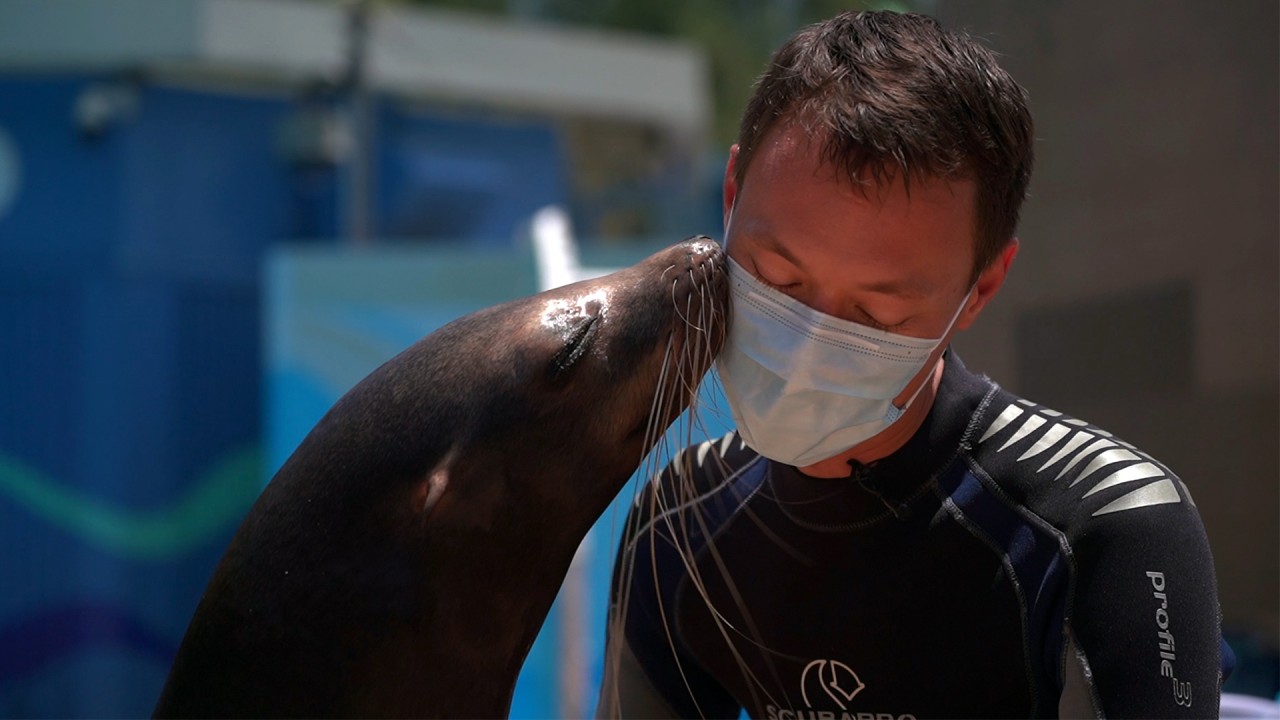 Animals at Hong Kong’s Ocean Park face uncertain future as pandemic keeps attraction closed