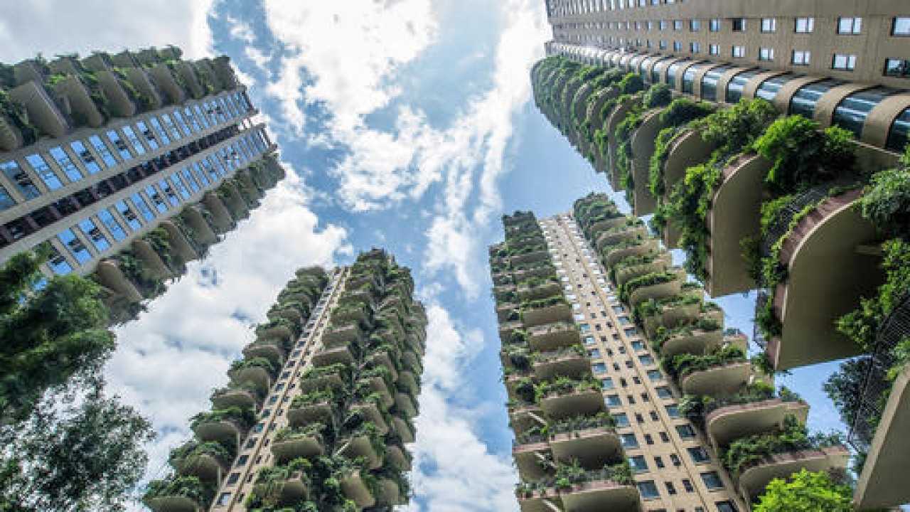 Promising “vertical forest” in China overrun by plants and plagued by mosquito infestation