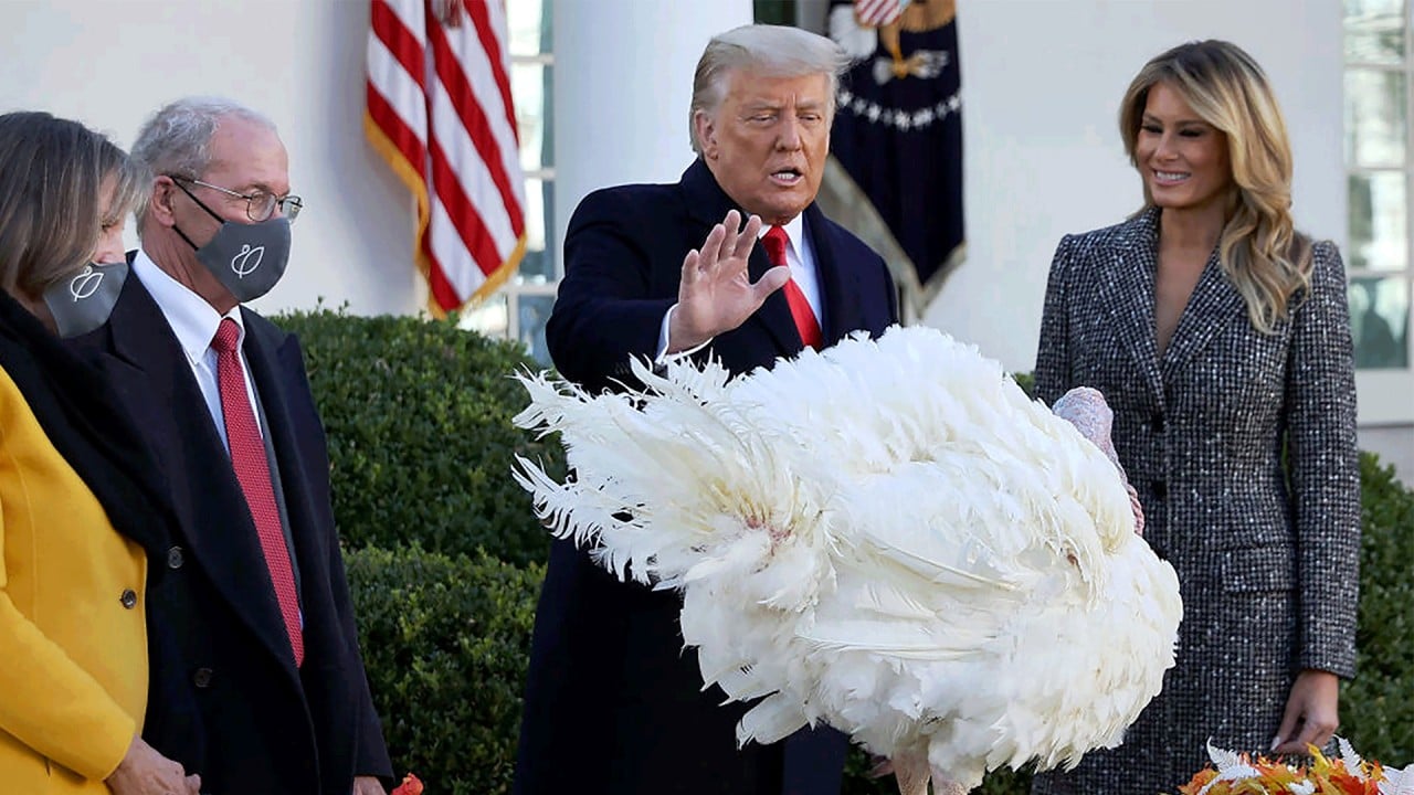 Trump ‘pardons’ Thanksgiving turkey, predicts Covid-19 vaccine coming next week