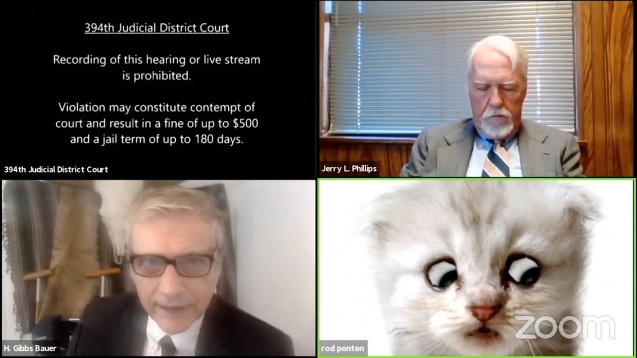 Lawyer Tells Judge I M Not A Cat In Viral Video As He Struggles With Filter During Zoom Court Hearing South China Morning Post Lawyer Tells Judge I M Not A Cat In Viral Video As He Struggles With Filter During Zoom Court Hearing South China Morning Post