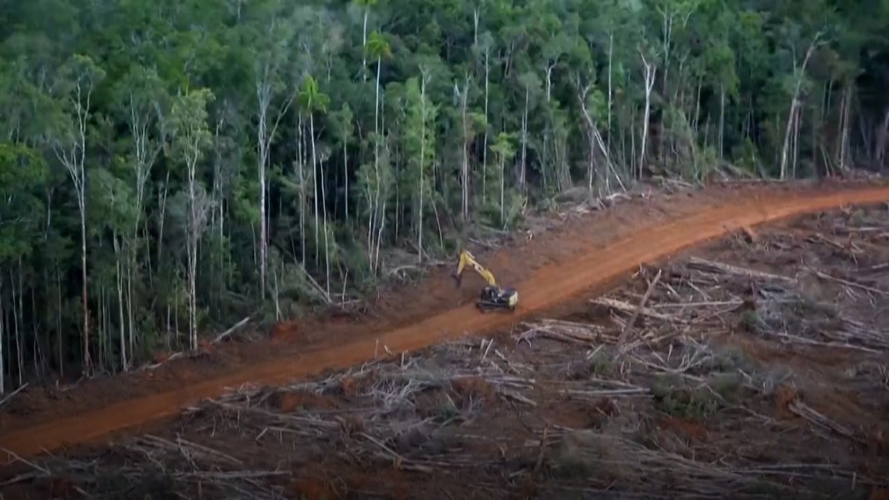 First COP26 pledge: world leaders agree to end deforestation by 2030