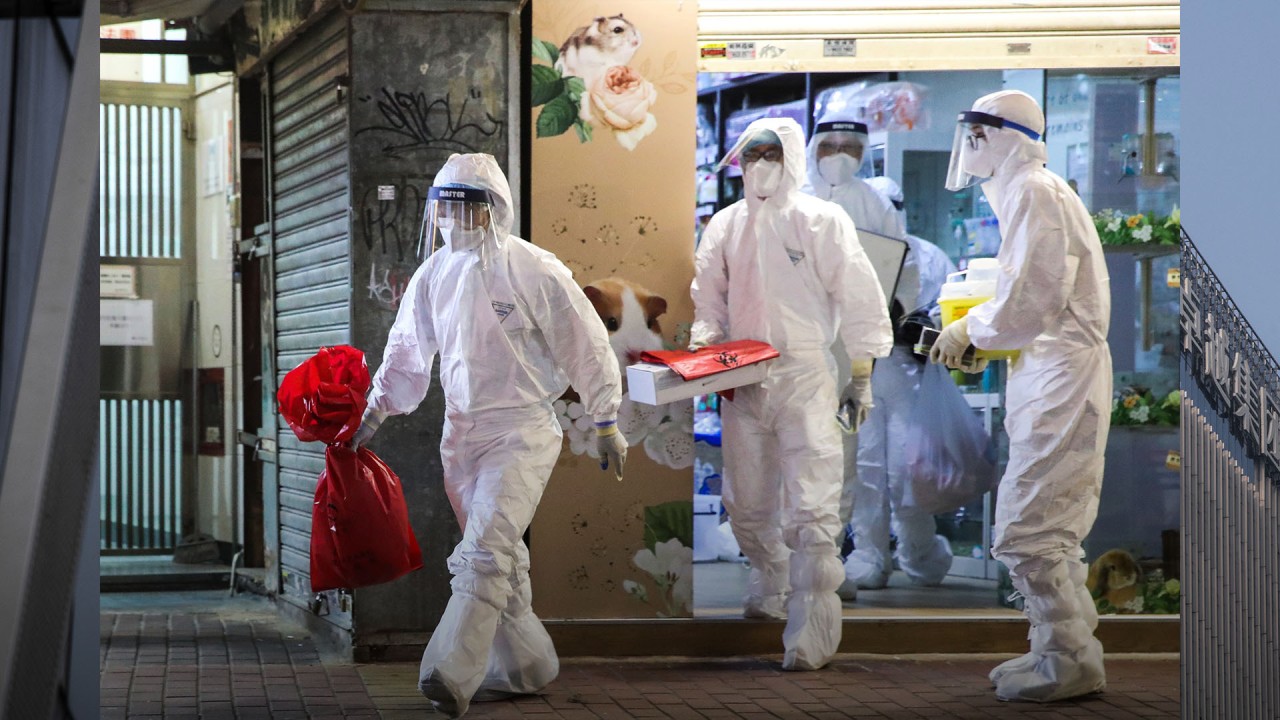 pet store near me open today