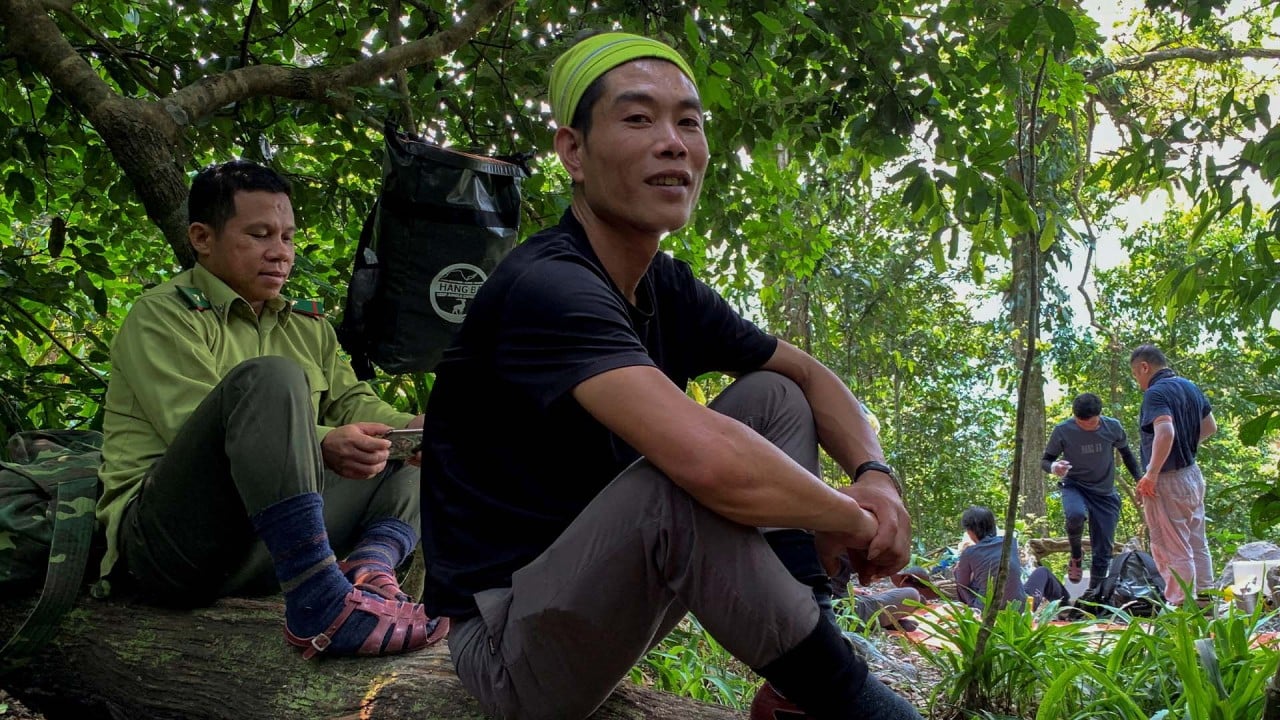 From Illegal logging to tree conservation: one man’s journey to help end deforestation in Vietnam
