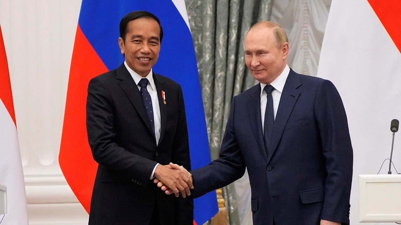 Russia promises to open sea route for Ukrainian wheat, says Indonesian president 