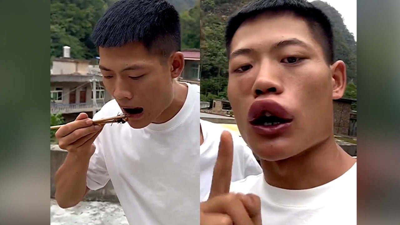 Chinese influencer banned after wasp-eating video stunt goes wrong 