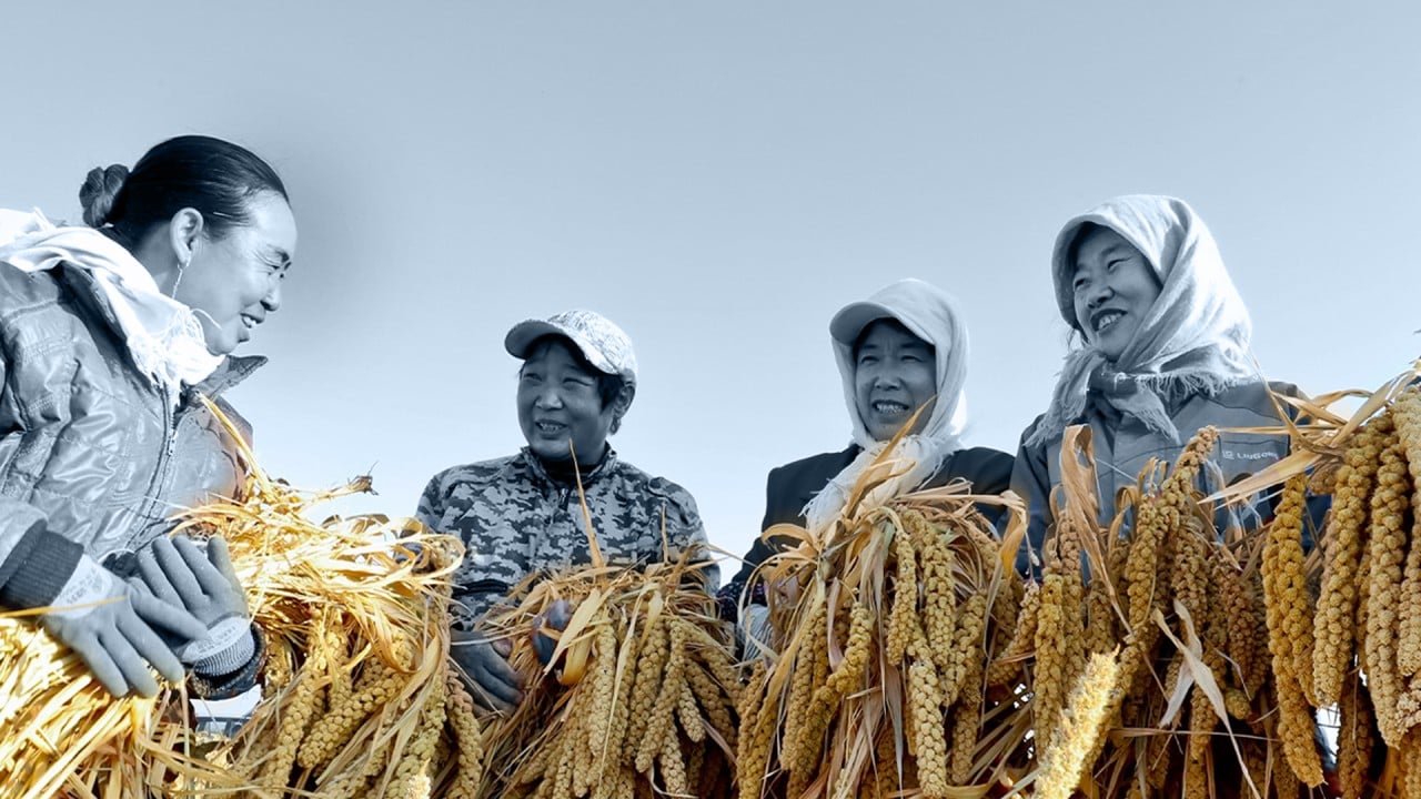Why is the Chinese government so concerned about food security