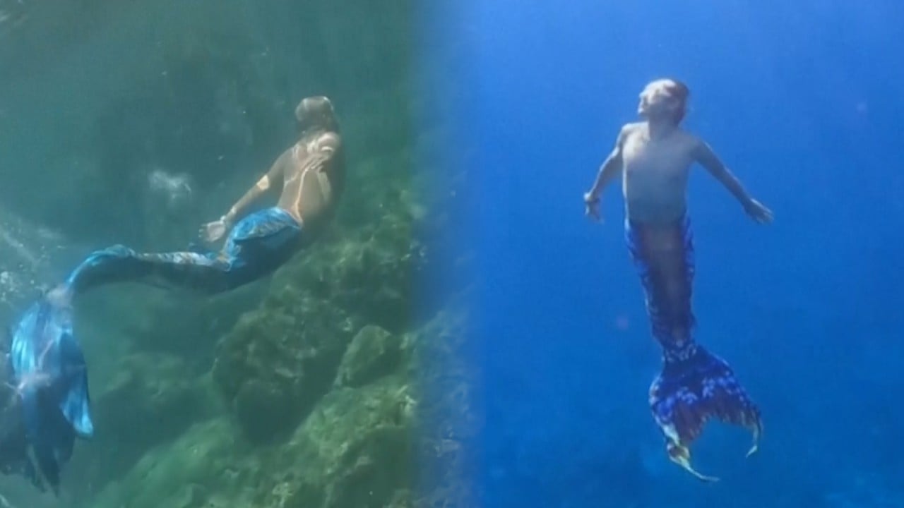 Taiwan’s ‘mermen’ spotlights unusual diving hobby 