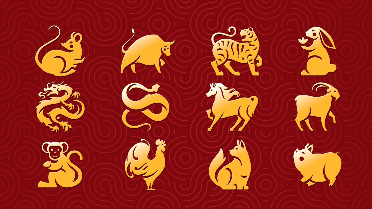 How will your Chinese zodiac fare in the Year of the Dragon