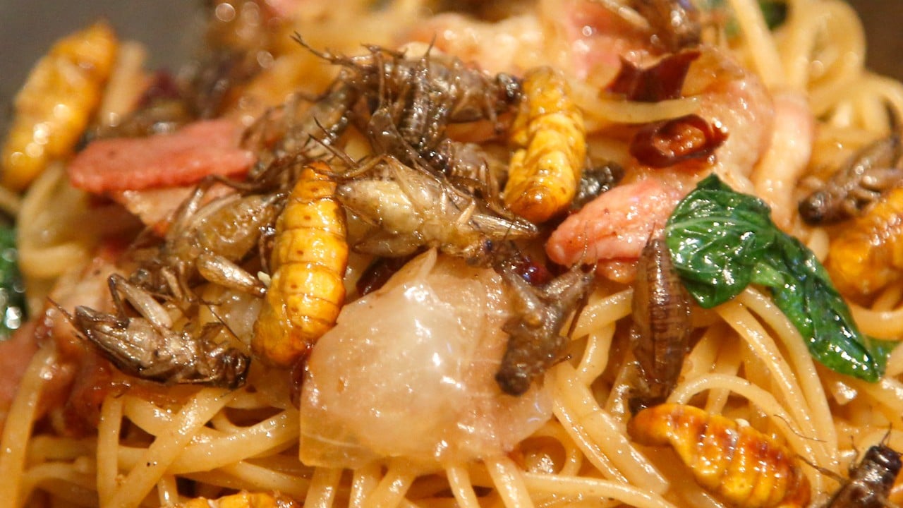 Creepy, crawly dinner menu excites Londoners