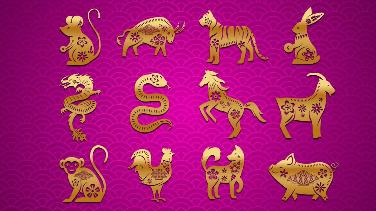 Year of the Snake 2025 predictions for Snakes, from lucky colour to