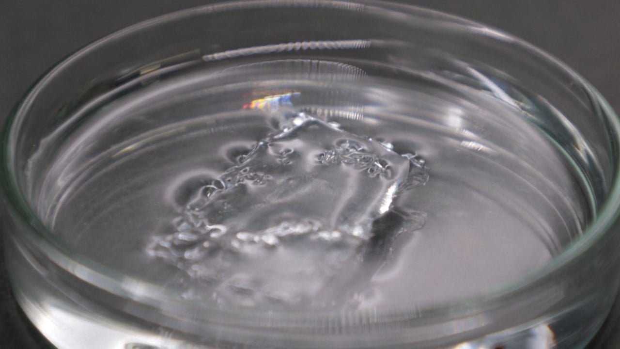 Japan’s researchers develop ocean-friendly plastic 