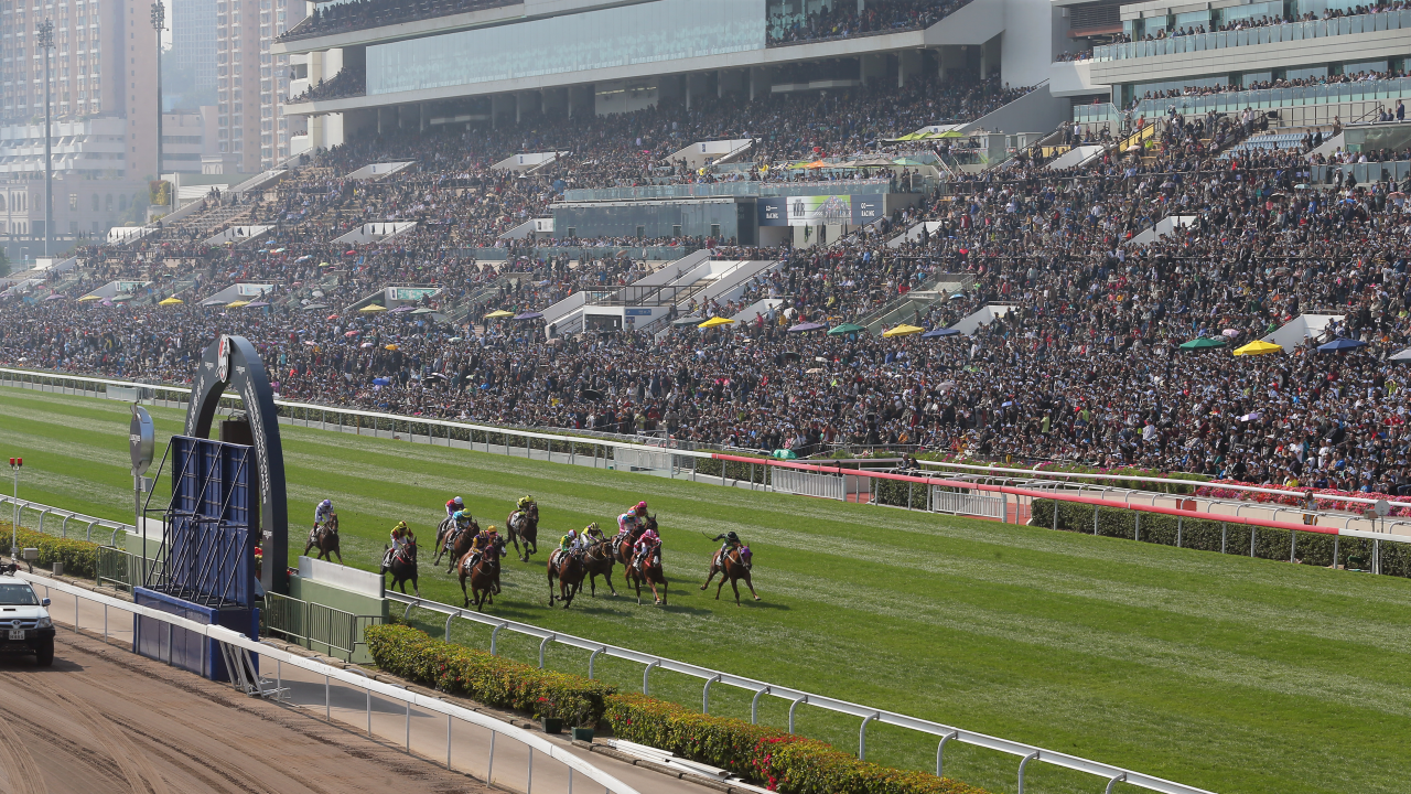 The ins and outs of preparing Sha Tin for the Hong Kong International Races