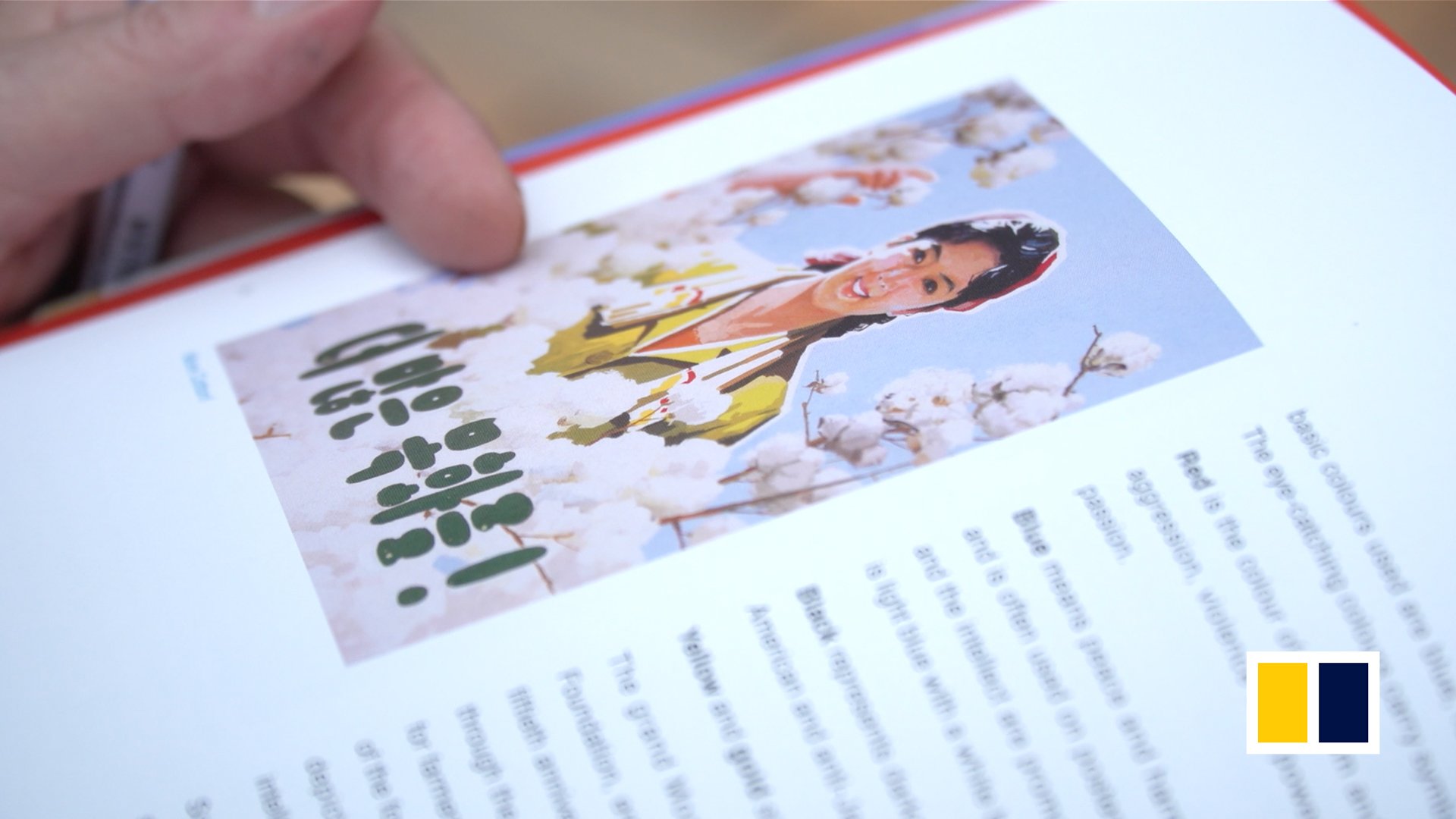 An aid worker’s collection of North Korean propaganda