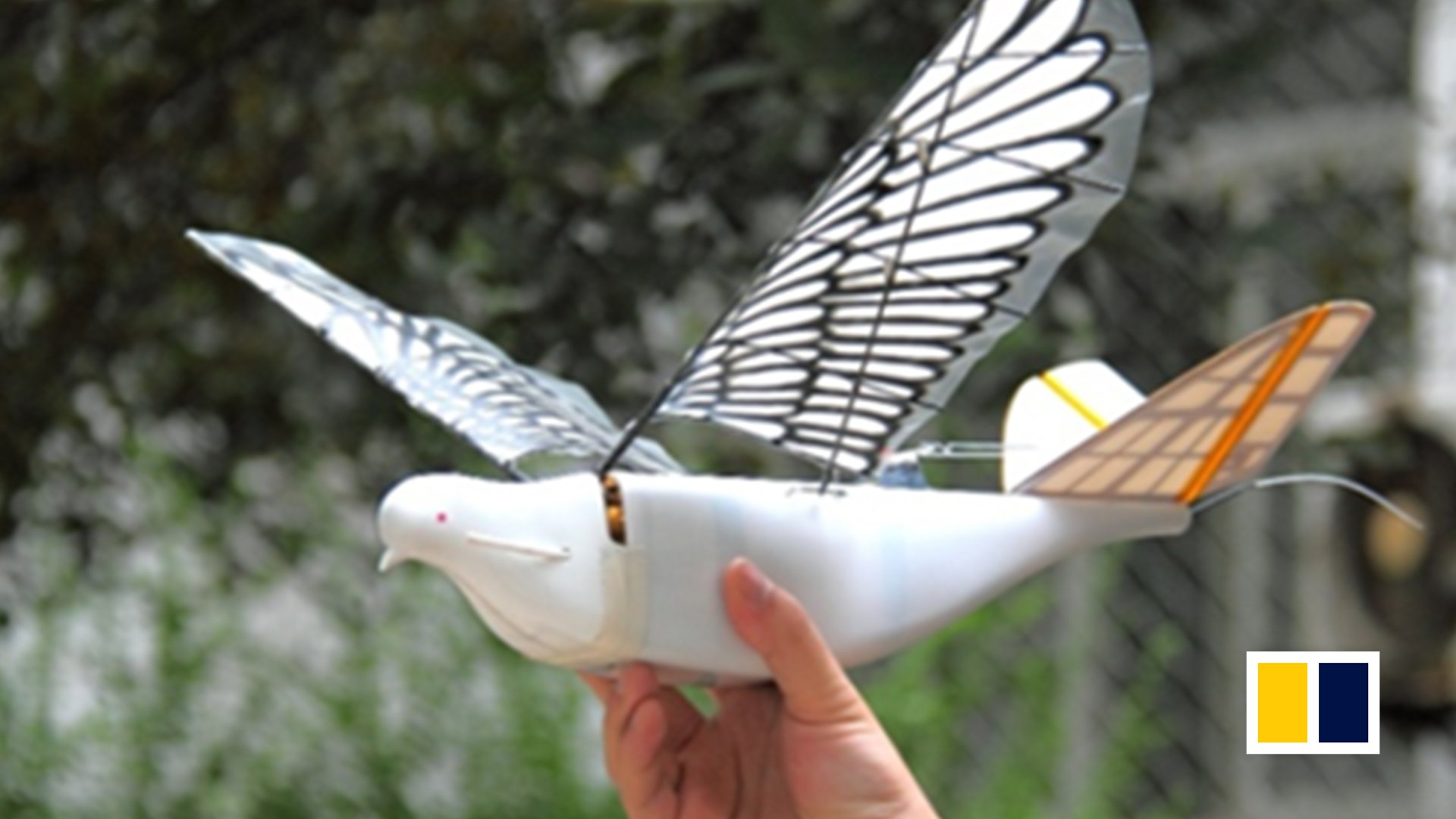 Has the age of bird-like drones arrived?
