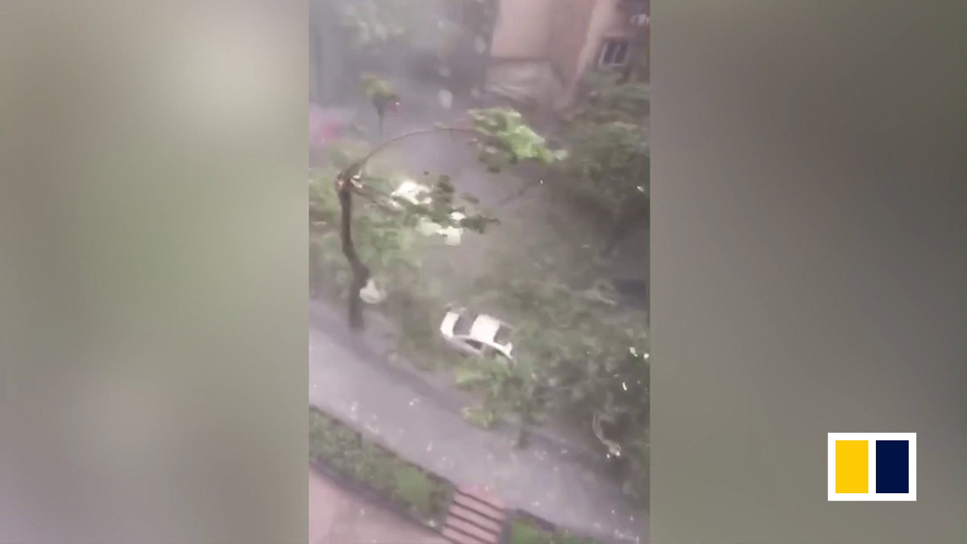 Trees bend in strong winds as Super Typhoon Maria hits southeast China
