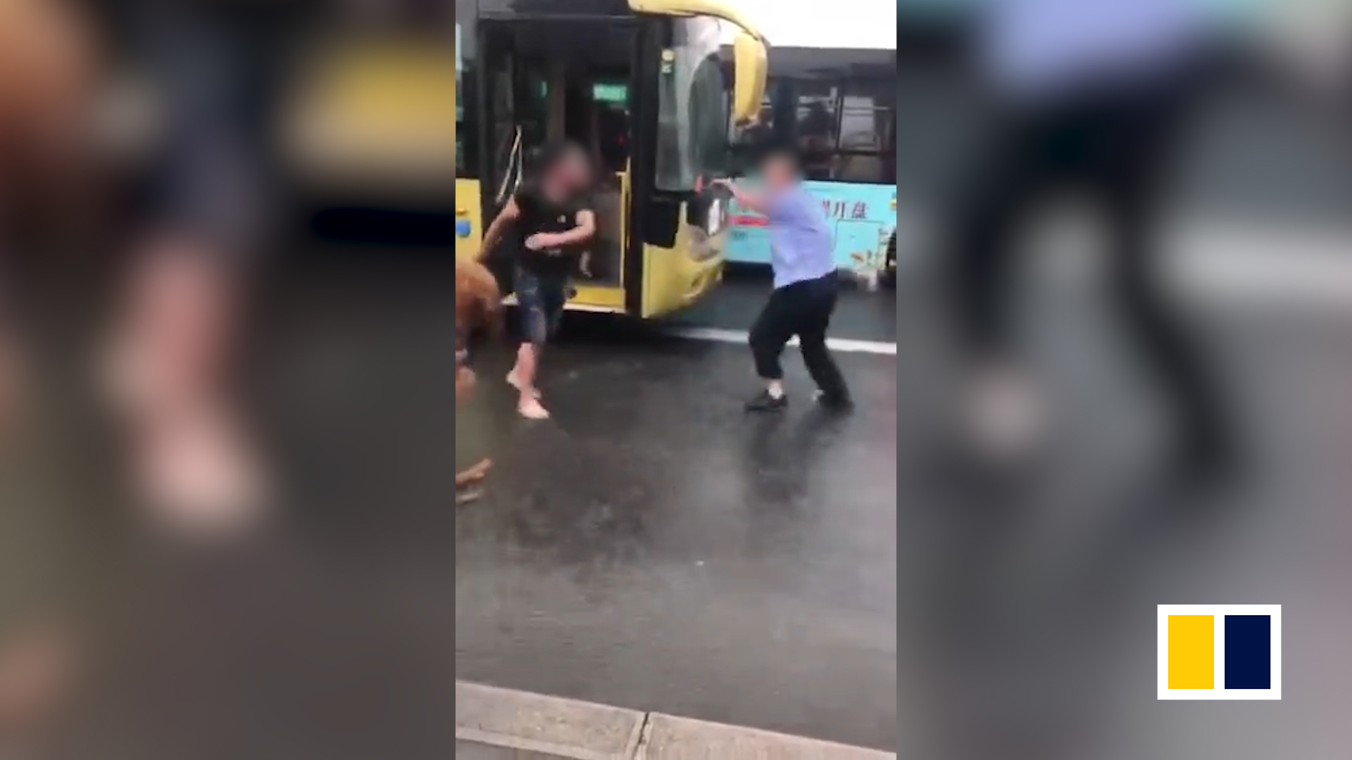 Man brawls with bus driver in China over dog