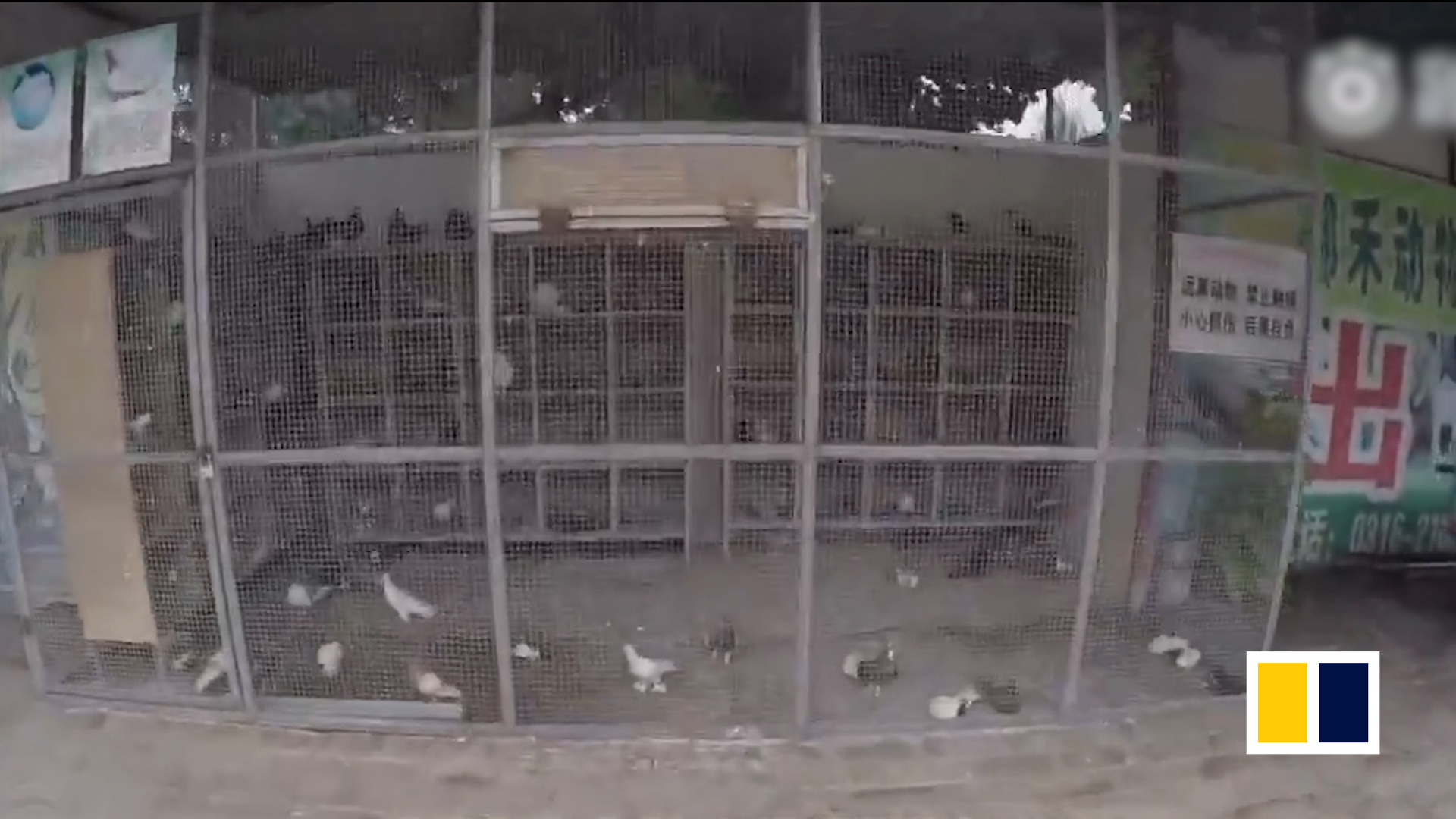Blogger exposes bizarre Chinese zoo