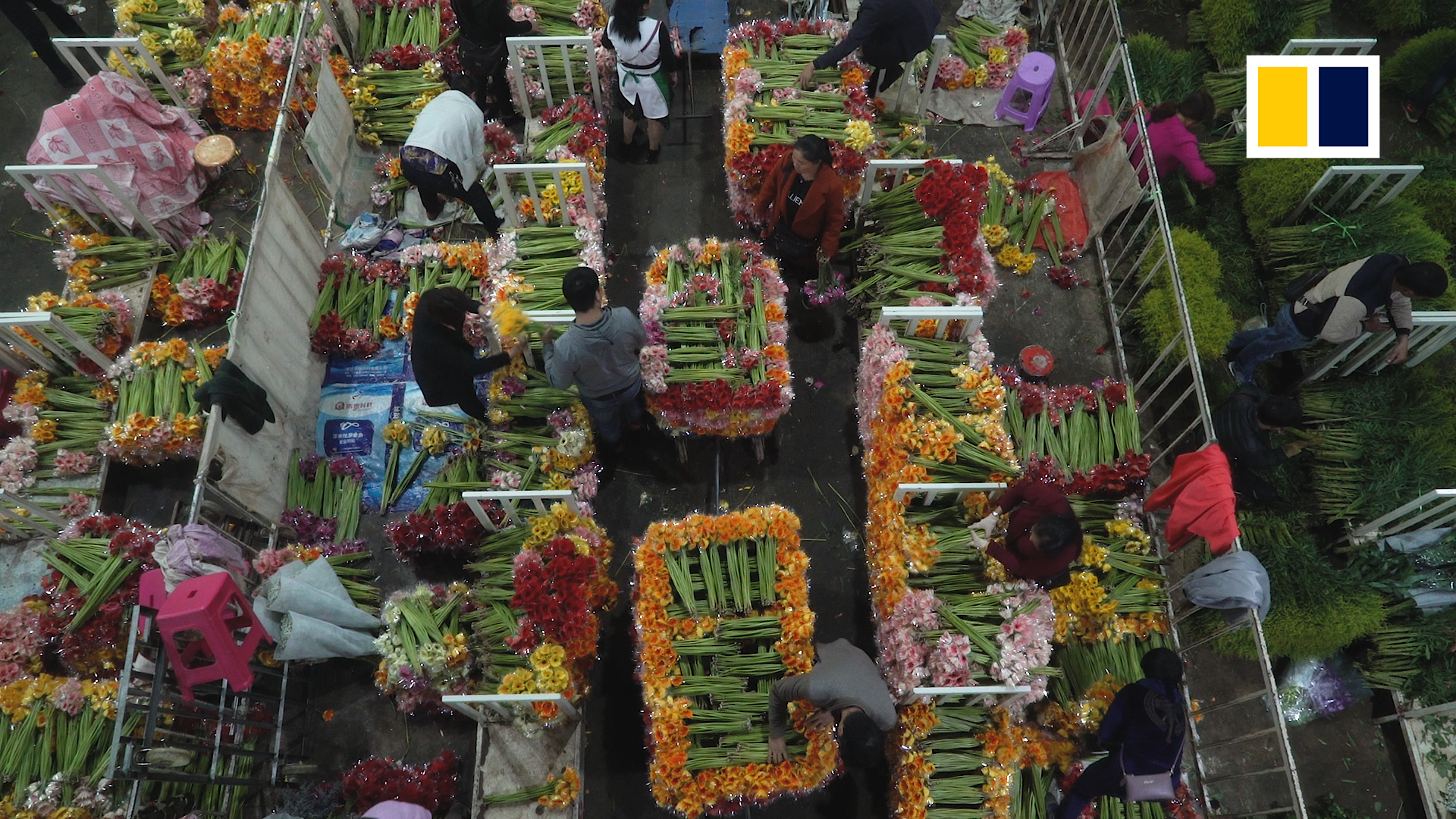 Inside Asia’s largest fresh-cut flower market in China’s Yunnan province